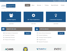 Tablet Screenshot of amlexperts.com